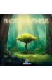 Photosynthesis