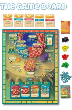 Cytosis: A Cell Building Game (2nd Edition) Cytosis: A Cell Building Game (2nd Edition)