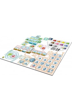 Concept Kids: Dieren Concept Kids: Dieren