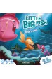 Little Big Fish Little Big Fish