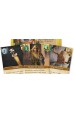 Valley of the Kings: Premium Edition Valley of the Kings: Premium Edition