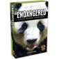 Endangered: Giant Panda Scenario