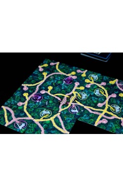 Fairy Trails [NL]