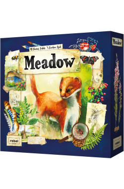 Meadow (NL)