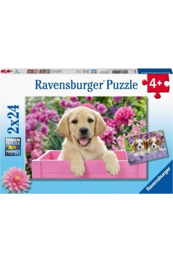 Harige vriendjes - Puzzel (2x24) Harige vriendjes - Puzzel (2x24)
