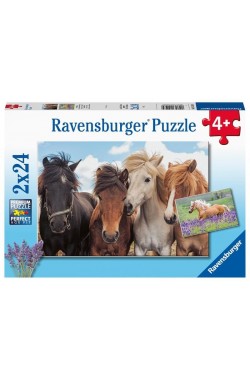 Paardenliefde - Puzzel (2x24) Paardenliefde - Puzzel (2x24)