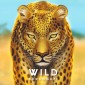Wild: Serengeti + upgraded wooden tokens (Kickstarter)