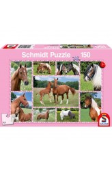 Prachtige Paarden - Puzzel (150)
