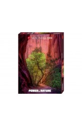 Singing Canyon - Puzzel (1000) Singing Canyon - Puzzel (1000)