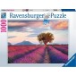 Lavendelvelden - Puzzel (1000)