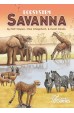 Ecosystem: Savanna