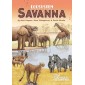 Ecosystem: Savanna