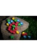 Evolution: New World (Kickstarter Master of the Evolution) Evolution: New World (Kickstarter Master of the Evolution)