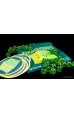 Gelatinous Gelatinous