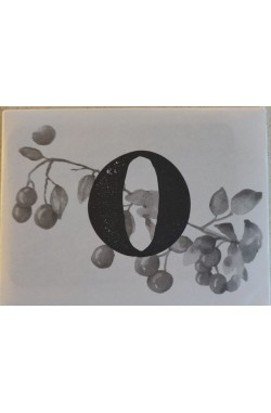 Meadow: Envelope O