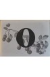 Meadow: Envelope O