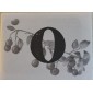 Meadow: Envelope O
