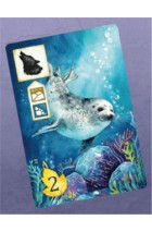 Meadow: Seal Promo Card