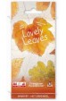 Minnys: Lovely Leaves Minnys: Lovely Leaves