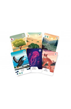 Ecosfera: Expansion Ecosfera: Expansion
