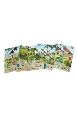 Forest Shuffle: Woodland Edge (EN)