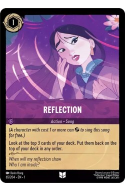 Reflection