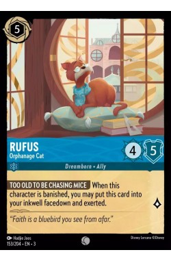 Rufus - Orphanage Cat