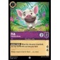 Pua - Potbellied Buddy