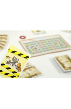 Schrödinger's Katten