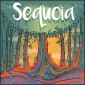 Sequoia