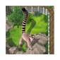 Zooloretto: Ringstaartmaki Promo