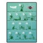 Draft & Write Records - Playmat 6