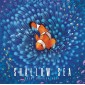 Shallow Sea (EN)