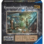 Escape Puzzel Forbidden Basement