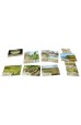 Forest Shuffle: Dartmoor – Exmoor (EN) Forest Shuffle: Dartmoor – Exmoor (EN)
