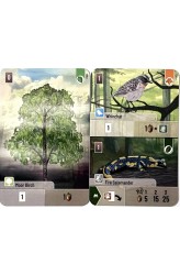 Forest Shuffle: Hobby Next Promo Cards – Promo Uitbreiding (EN) Forest Shuffle: Hobby Next Promo Cards – Promo Uitbreiding (EN)