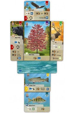 Forest Shuffle: Smoky Mountains (EN)