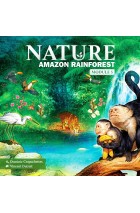 Nature: Amazon Rainforest