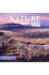 Nature: Arctic Tundra Nature: Arctic Tundra
