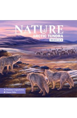 Nature: Arctic Tundra