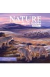 Nature: Arctic Tundra