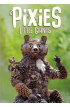 Pixies - Little Giants EN