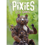 Pixies - Little Giants EN