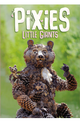 Pixies - Little Giants EN Pixies - Little Giants EN